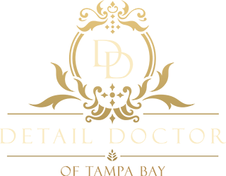 Detail Doctor of Tampa Bay