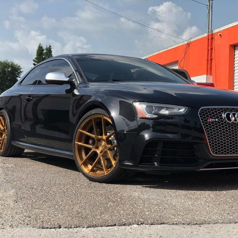 Paint Correction Detail Doctor of Tampa Bay